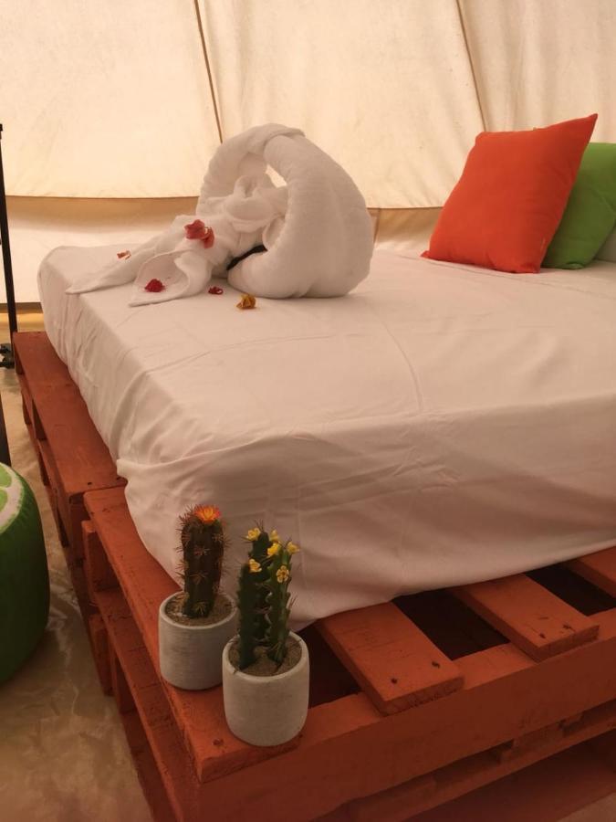 Glamping Due Amici Hotel Palomino Exterior foto